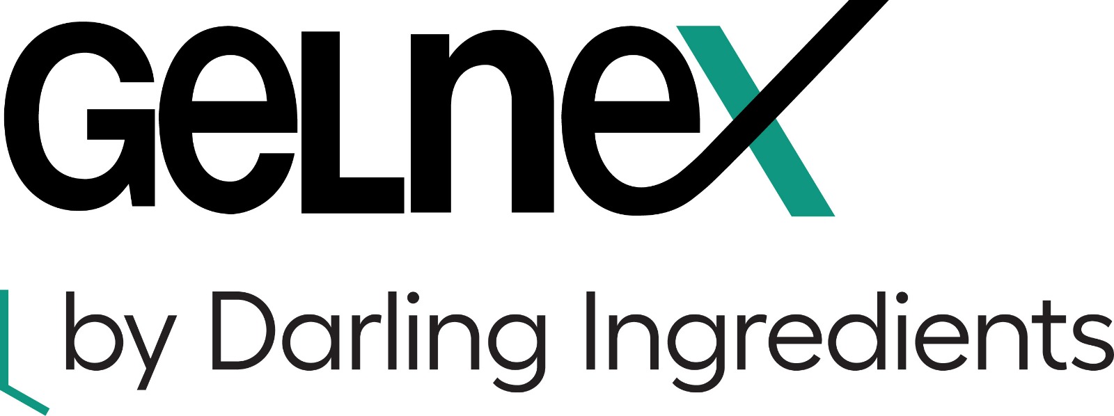 WhatsApp Image 2025-12-17 at 14.05.27